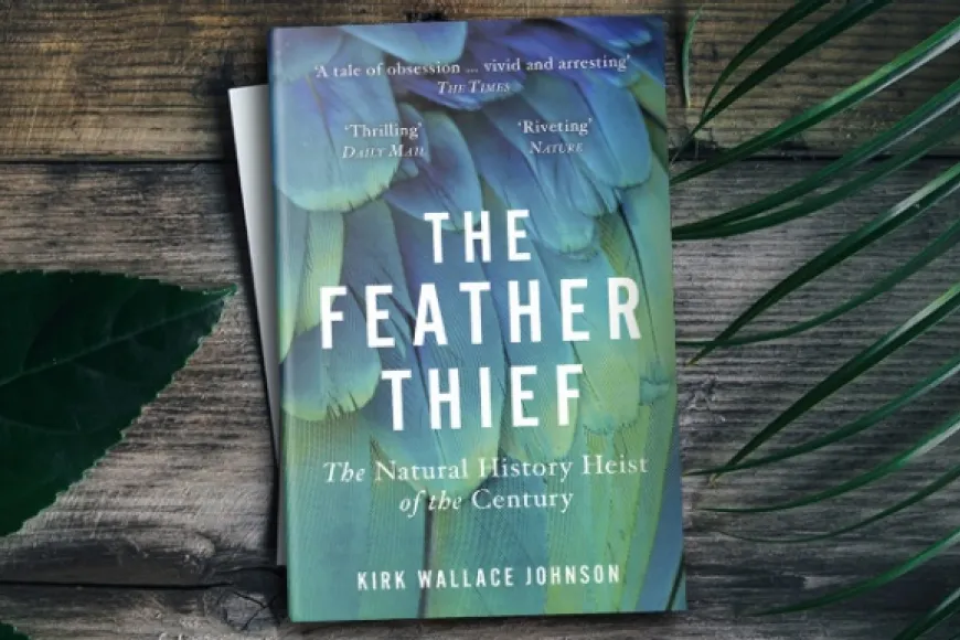 The Feather Thief Richland Library Broader Bookshelf