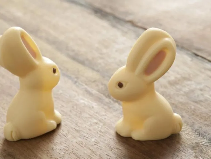 Two white chocolate easter bunnies